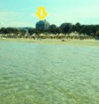 /album/galleria-foto-notizie1/st-37345-1377344387-jpeg/